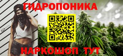 марки nbome Кингисепп