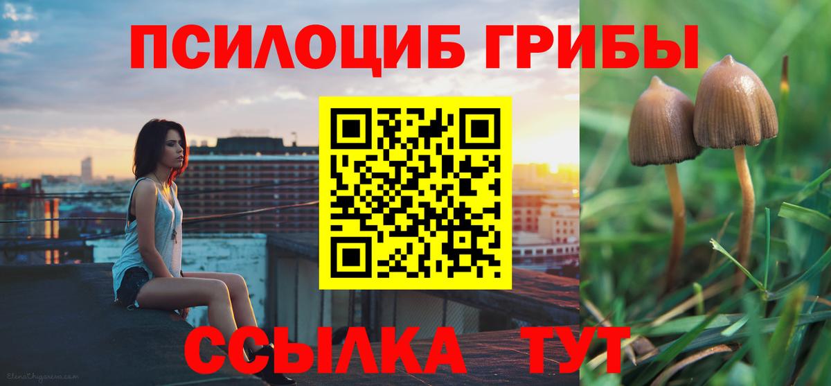 Псилоцибиновые грибы прущие грибы  Вход с VPN  Биробиджан 